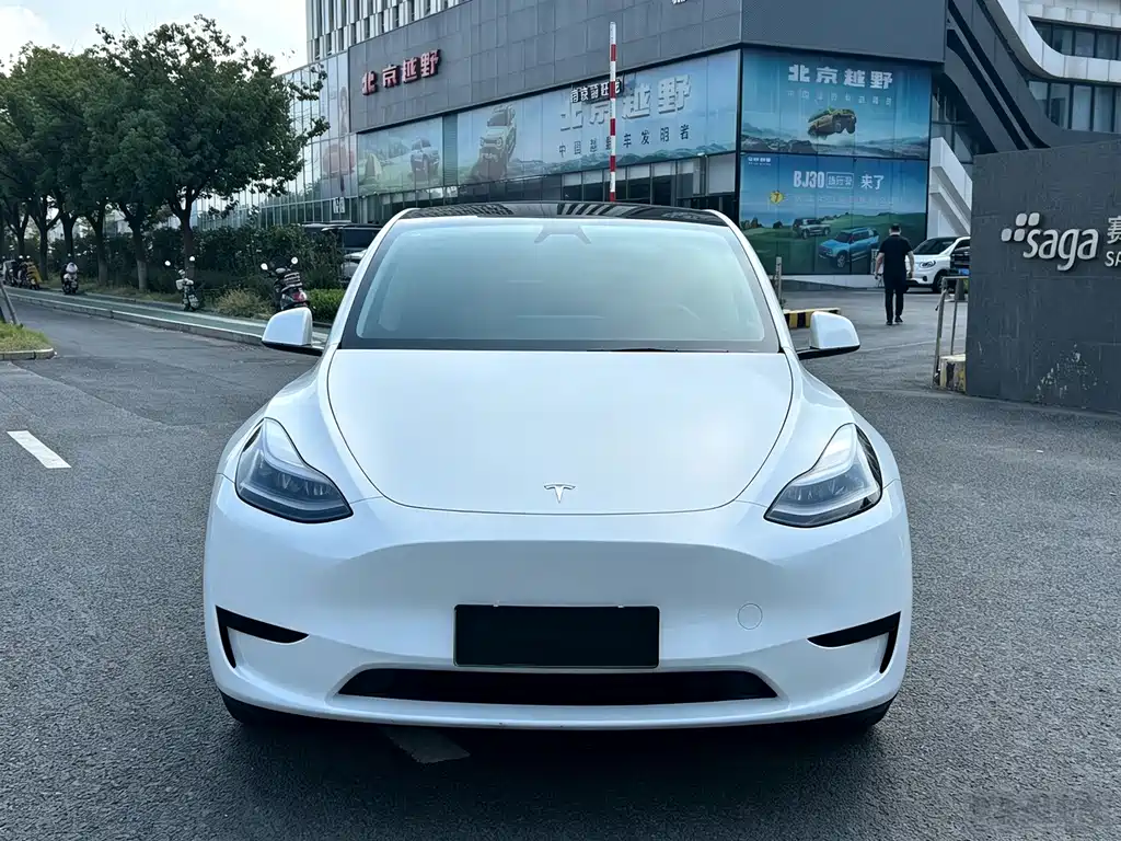 Tesla Model Y — миниатюра 2