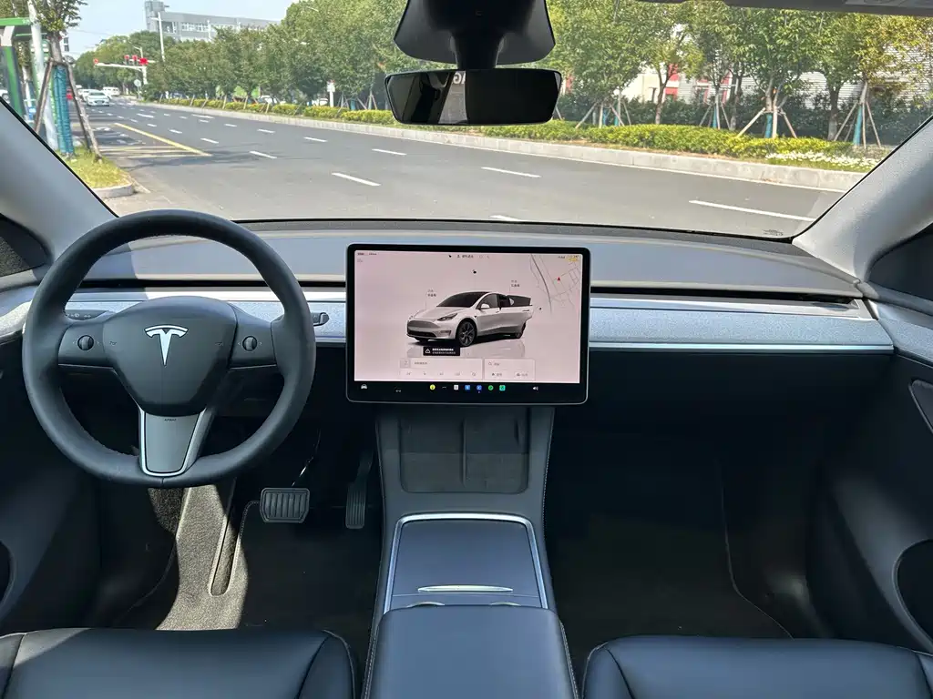 Tesla Model Y — миниатюра 8