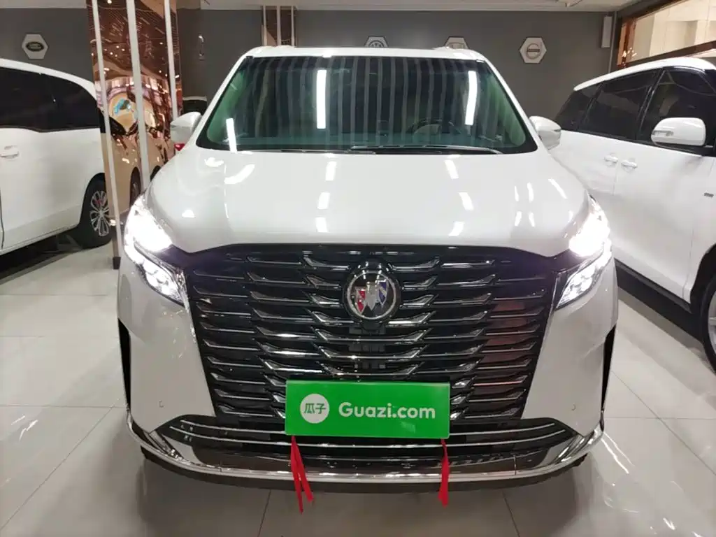 Buick GL8 — миниатюра 3