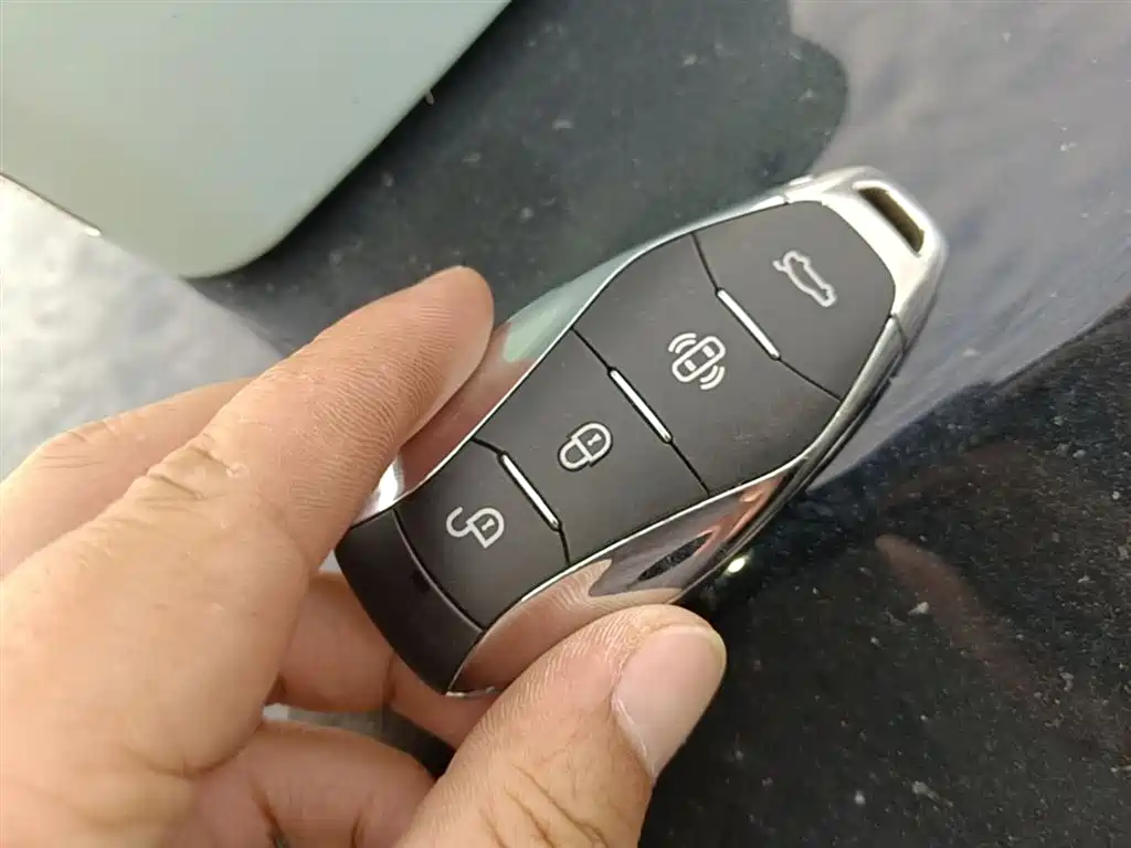 Hongqi HS7 PHEV 2024 2.0T PHEV 7 мест
