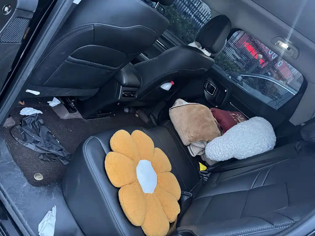 Haval Haval Big Dog PLUS — миниатюра 7