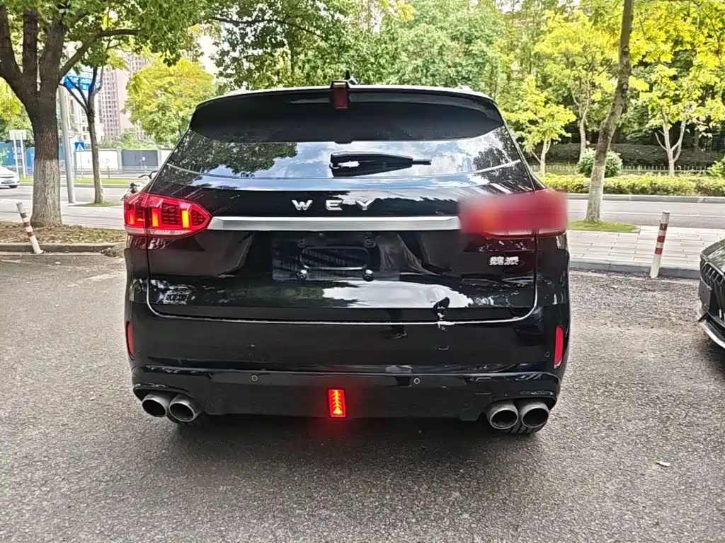 Wey Wey VV6 — миниатюра 6