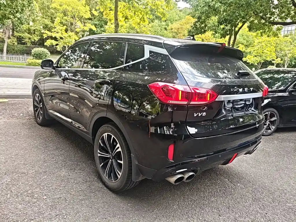 Wey Wey VV6 — миниатюра 5