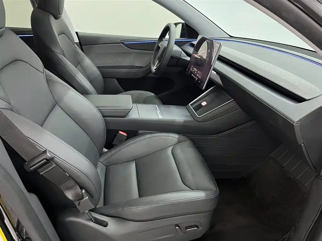 Tesla Model Y — миниатюра 7