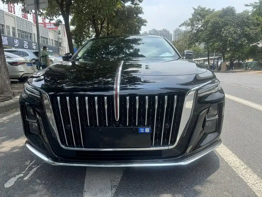 Hongqi Hongqi H5 — миниатюра 2