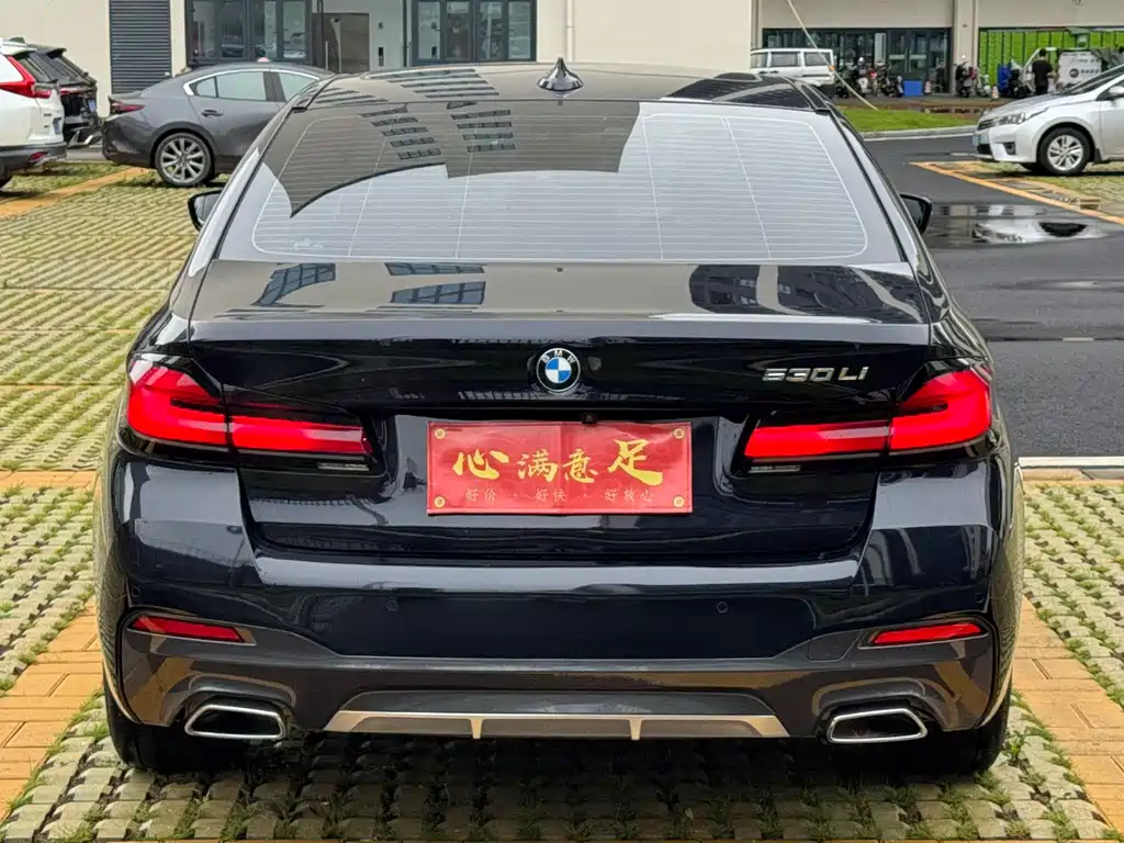 BMW 5 Series — миниатюра 5
