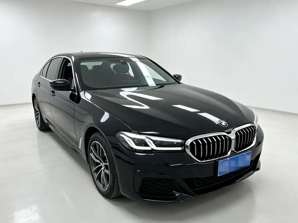 BMW 5 Series — миниатюра 3