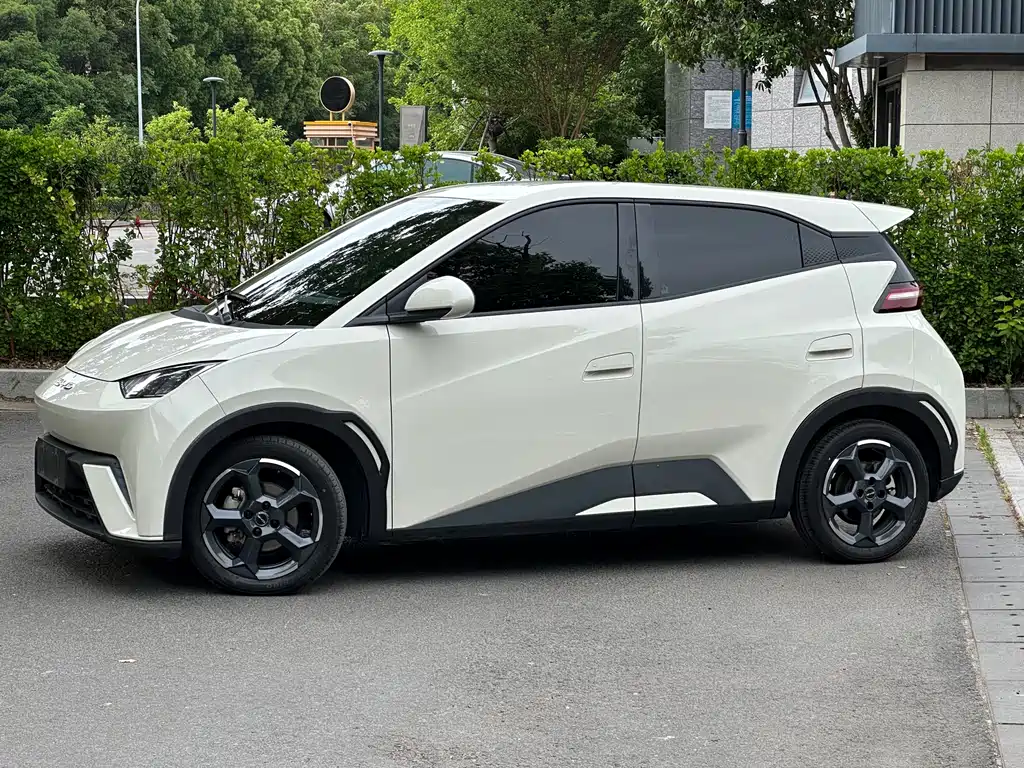 BYD Seagull 2023 Flying