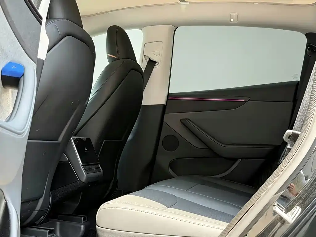 Tesla Model Y — миниатюра 6