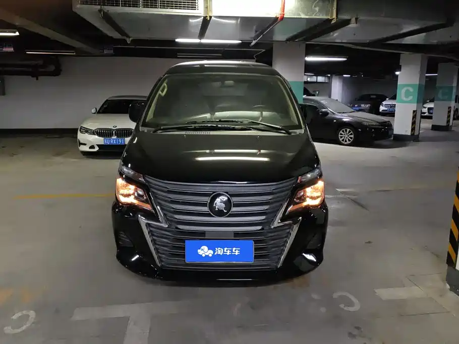 Fengxing Lingzhi — миниатюра 2