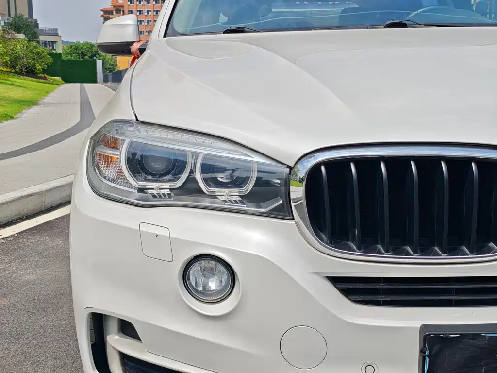 BMW X5 (Import) — миниатюра 4