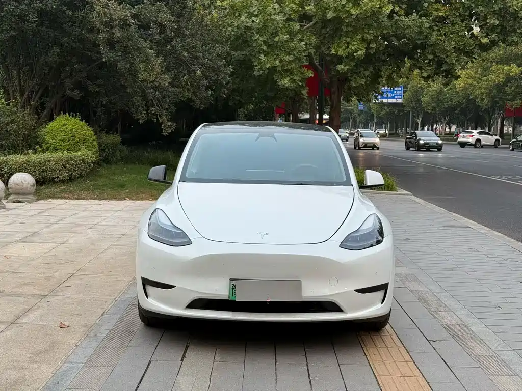 Tesla Model Y — миниатюра 2