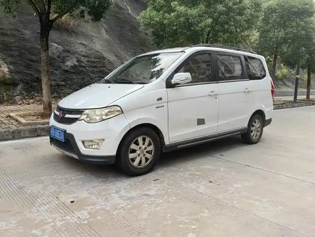 2014 Wuling Motors Hongguang