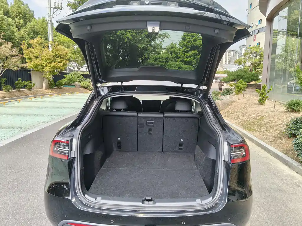 Tesla Model Y — миниатюра 15
