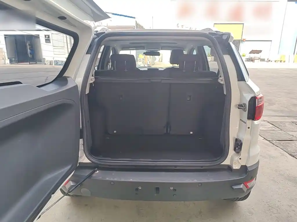 Ford Ecosport — миниатюра 19