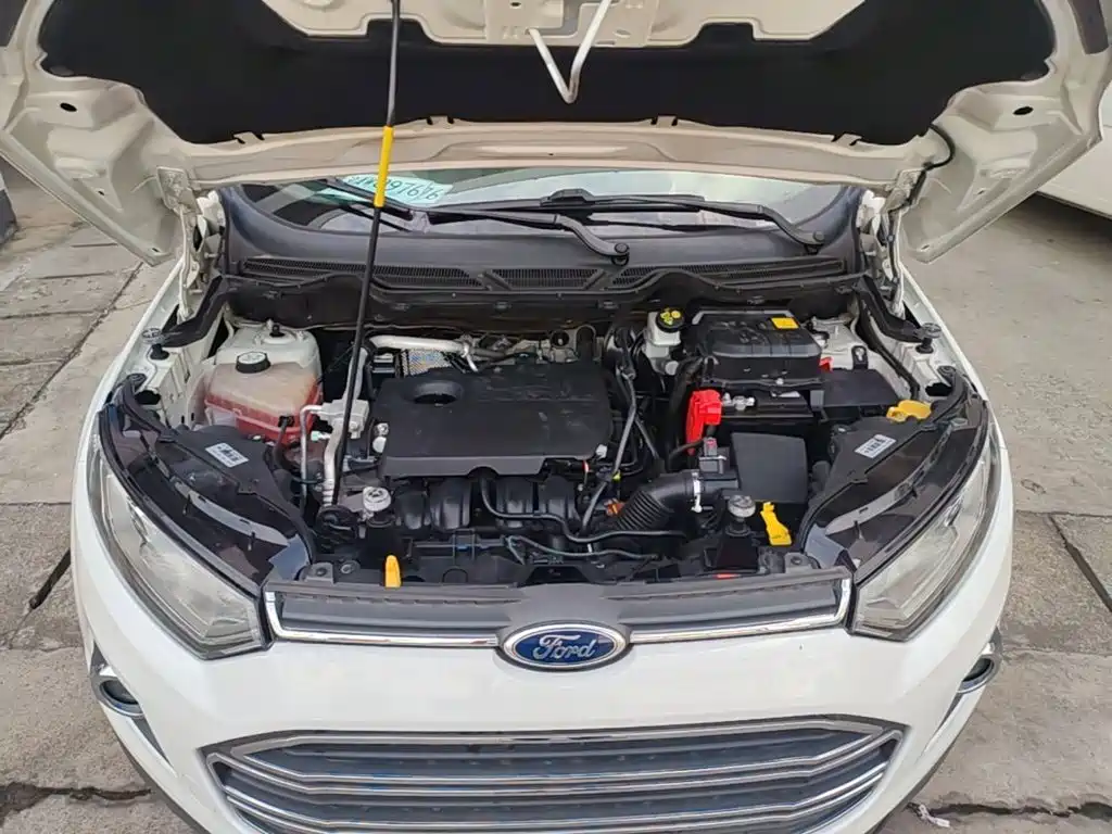 Ford Ecosport — миниатюра 20