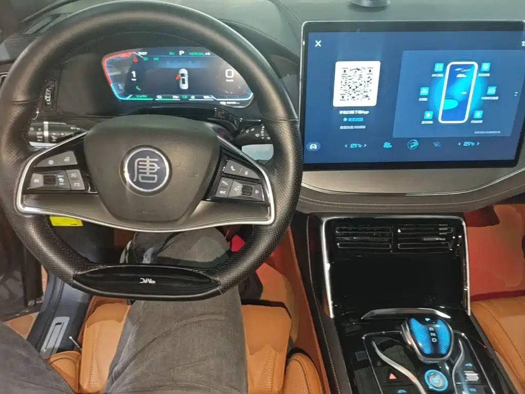 BYD Tang New Energy — миниатюра 10