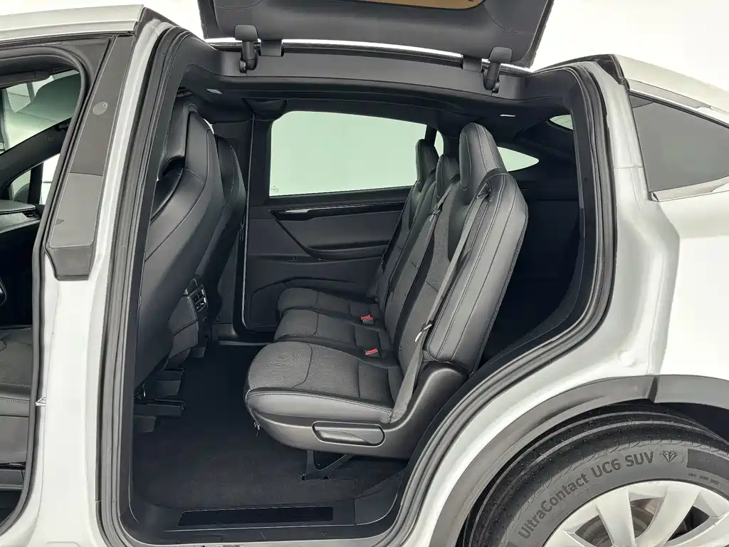 Tesla Model X — миниатюра 8