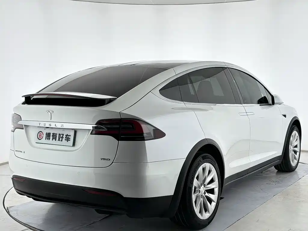 Tesla Model X — миниатюра 11