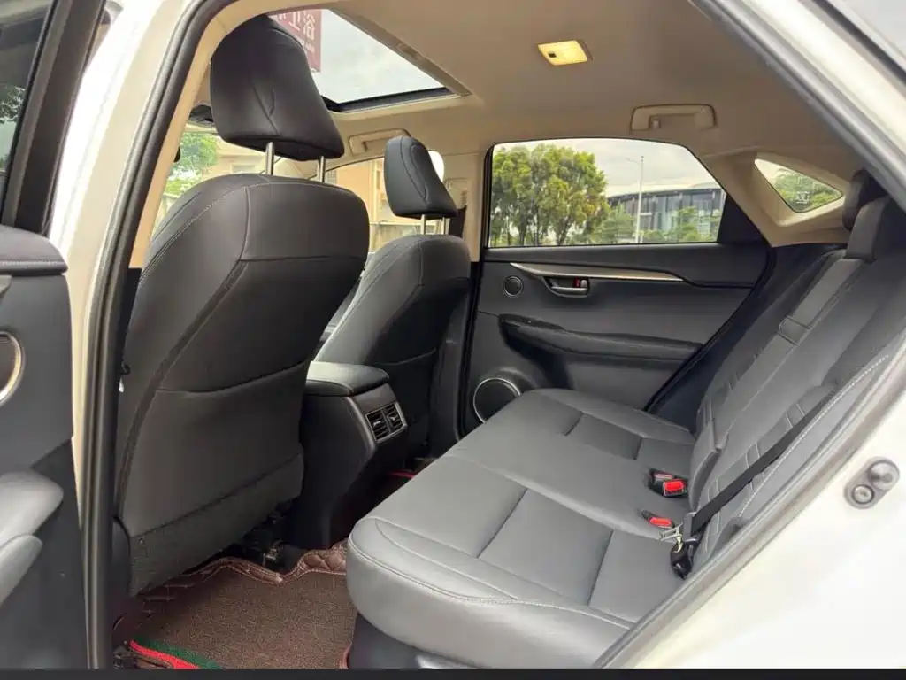 Lexus NX — миниатюра 13