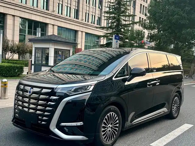 2023 Denza D9