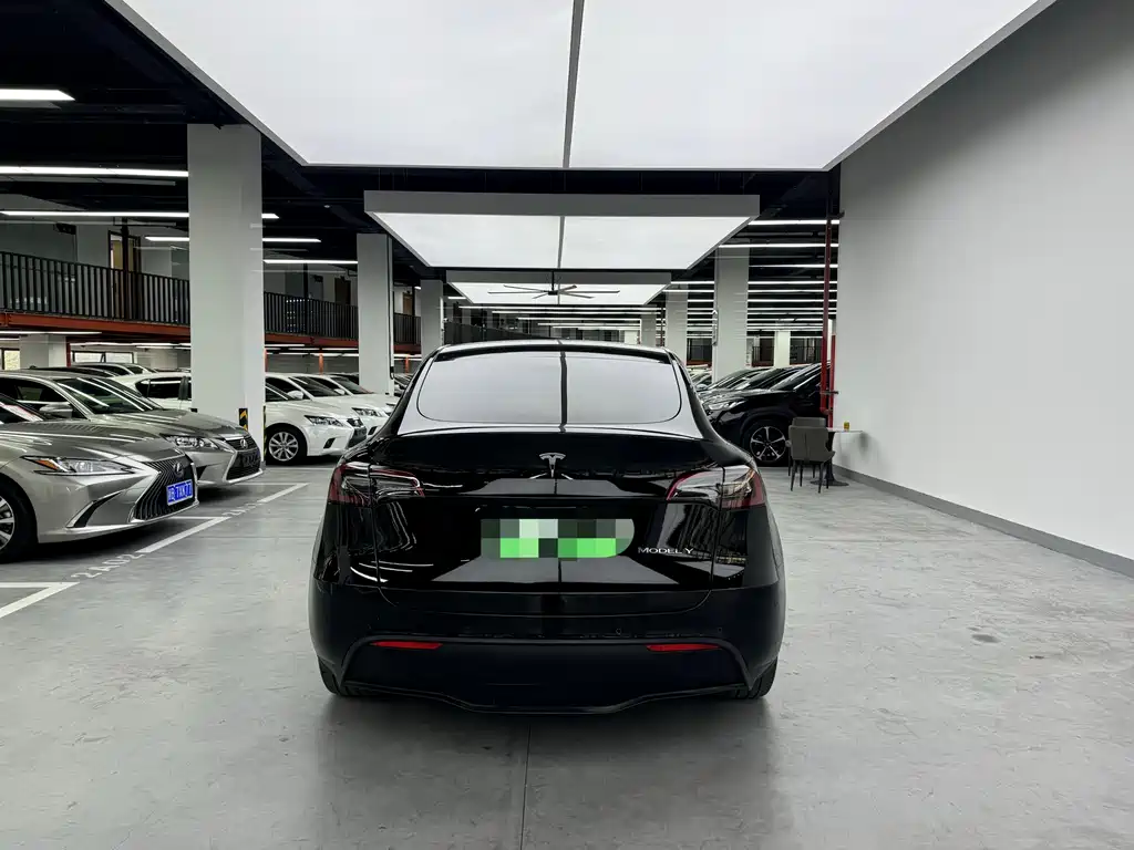Tesla Model Y — миниатюра 14