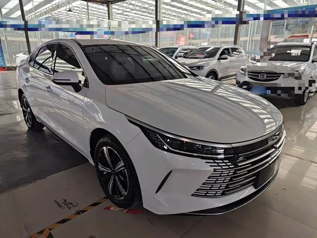 BYD Destroyer 05 — миниатюра 4