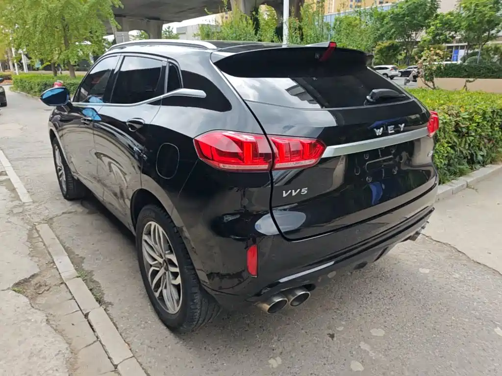 Wey Wey VV5 — миниатюра 5