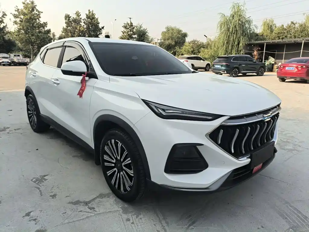 Oshan Oushang X5 — миниатюра 4