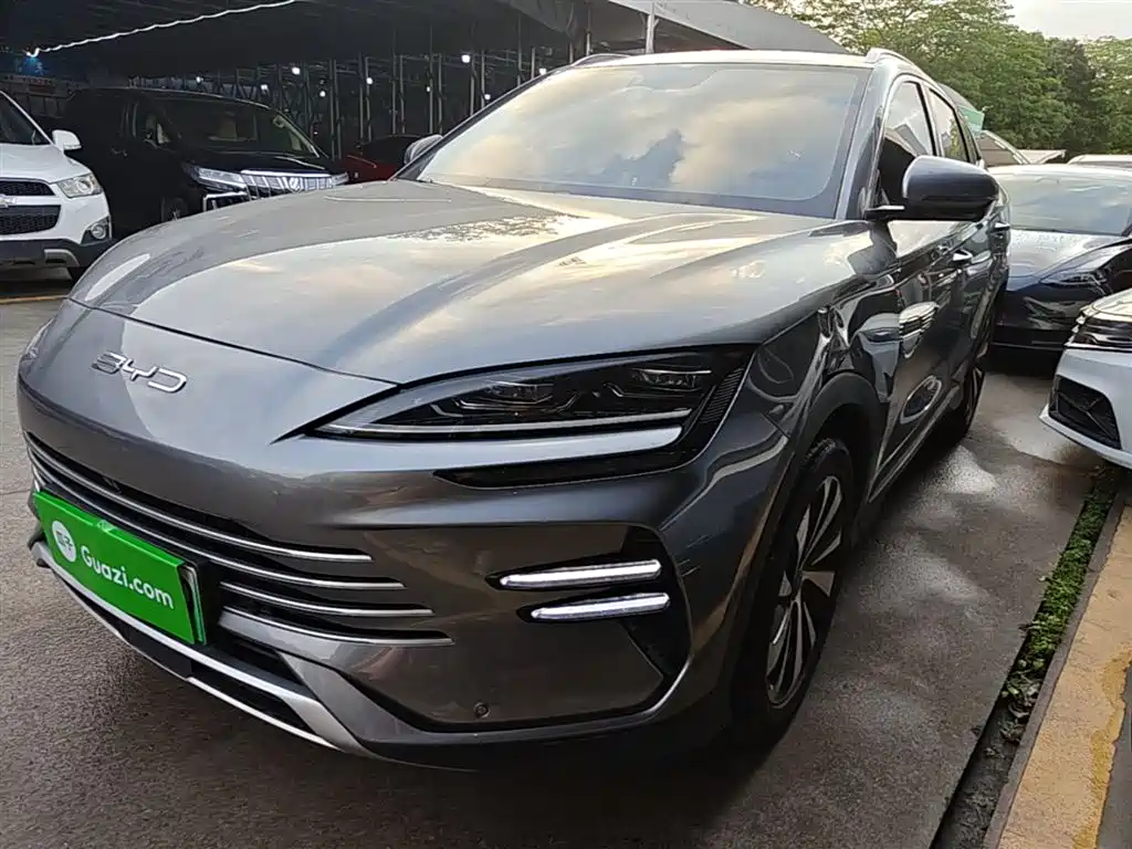 Byd PLUS New Energy 2024