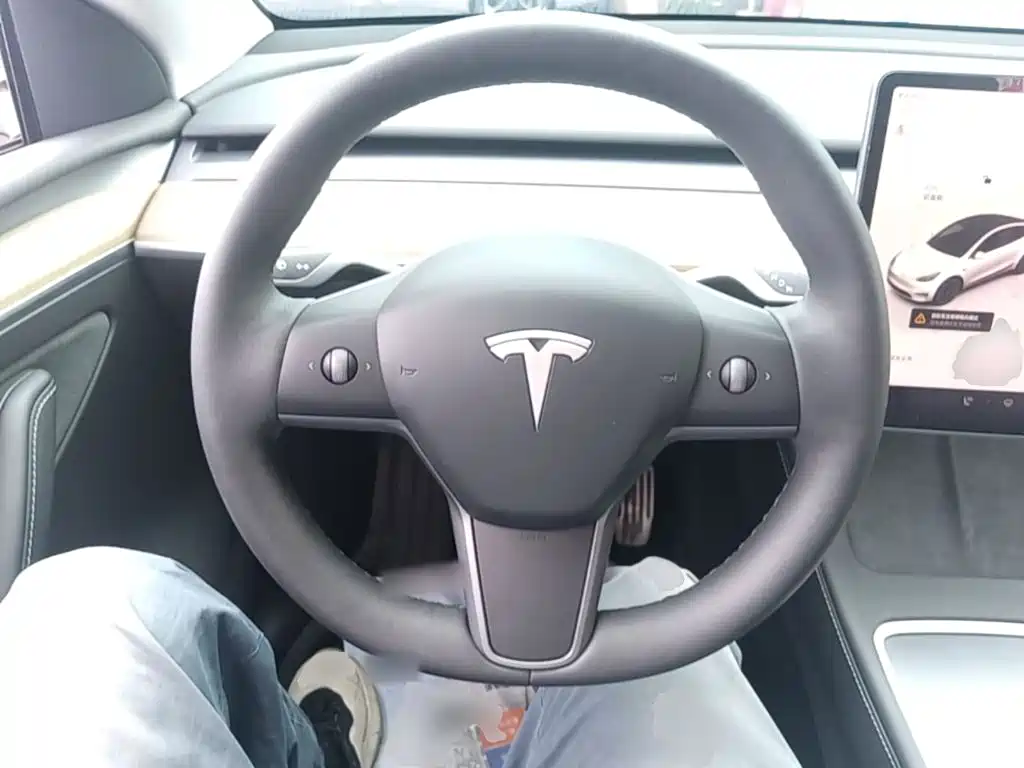 Tesla Model Y — миниатюра 11