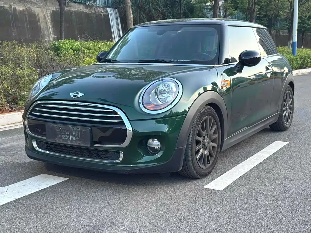 Mini Mini 2016