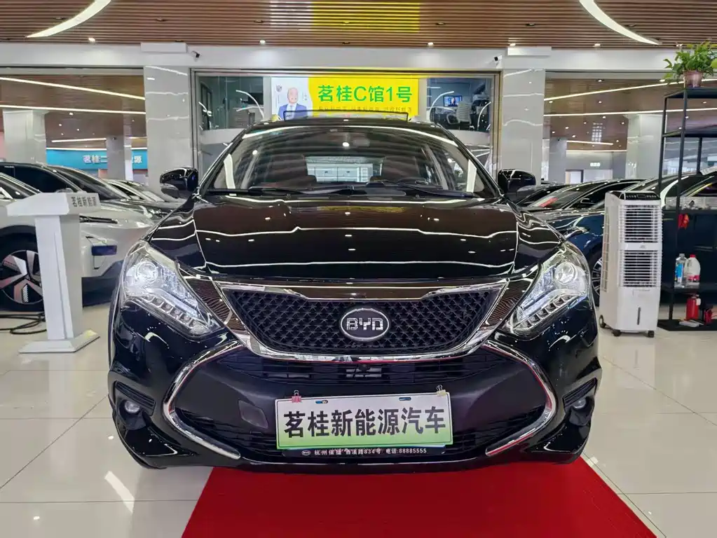 BYD Tang New Energy — миниатюра 2