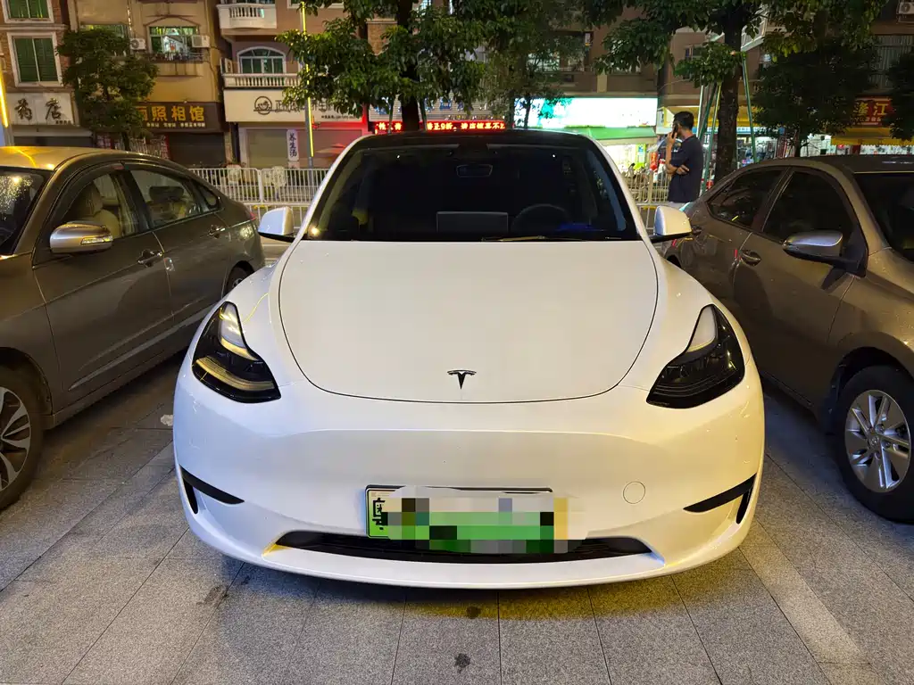 Tesla Model Y — миниатюра 3