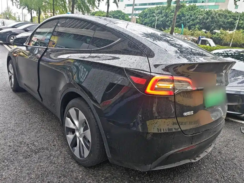 Tesla Model Y — миниатюра 5