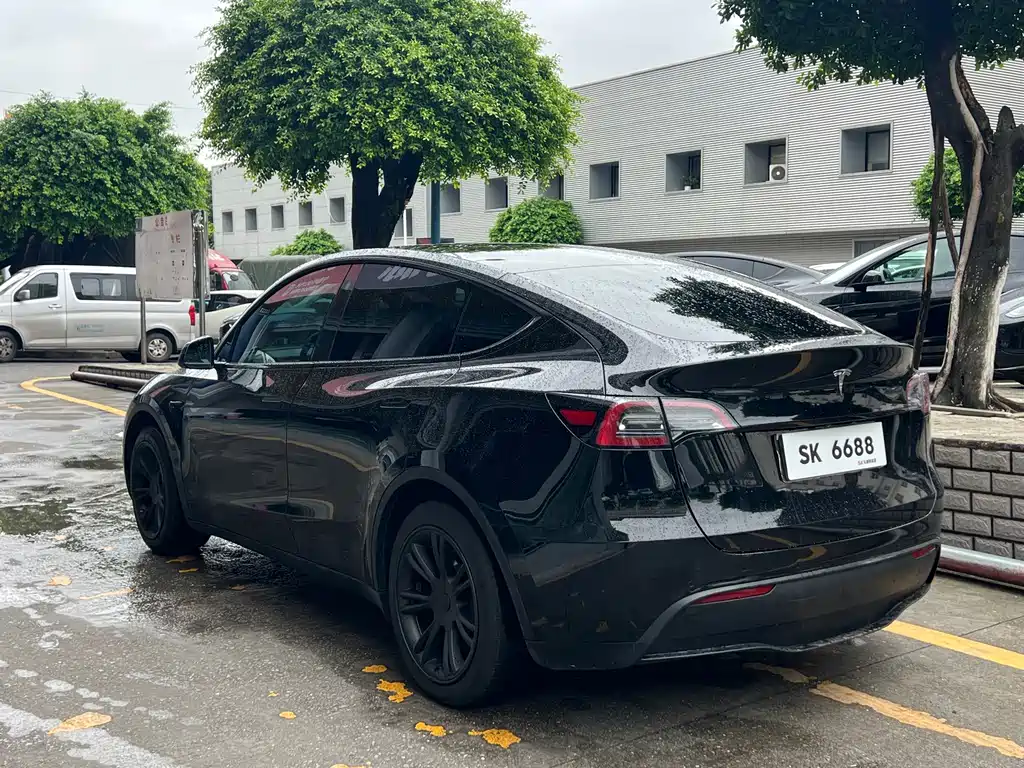 Tesla Model Y — миниатюра 5