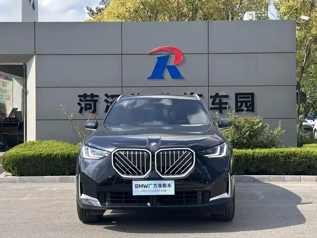 BMW X3 — миниатюра 2