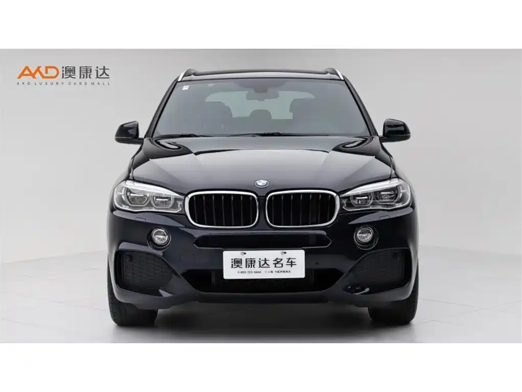 BMW X5 (Import) — миниатюра 2