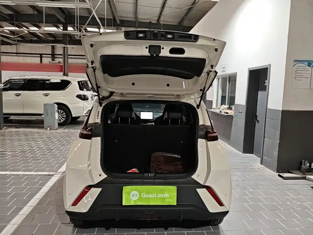 BYD Seagull — миниатюра 19