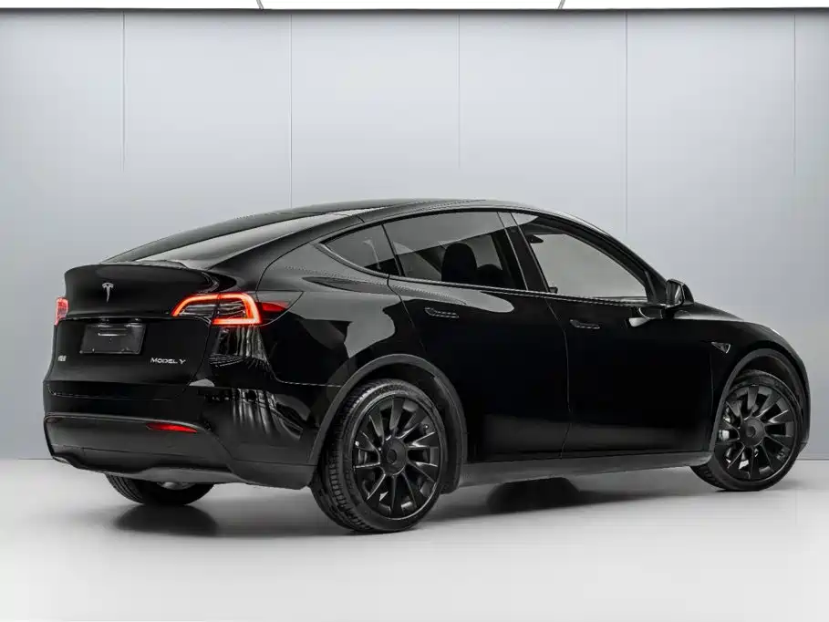 Tesla Model Y — миниатюра 7