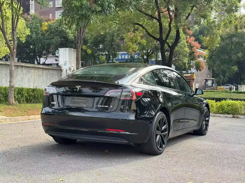 Tesla Model 3 — миниатюра 9