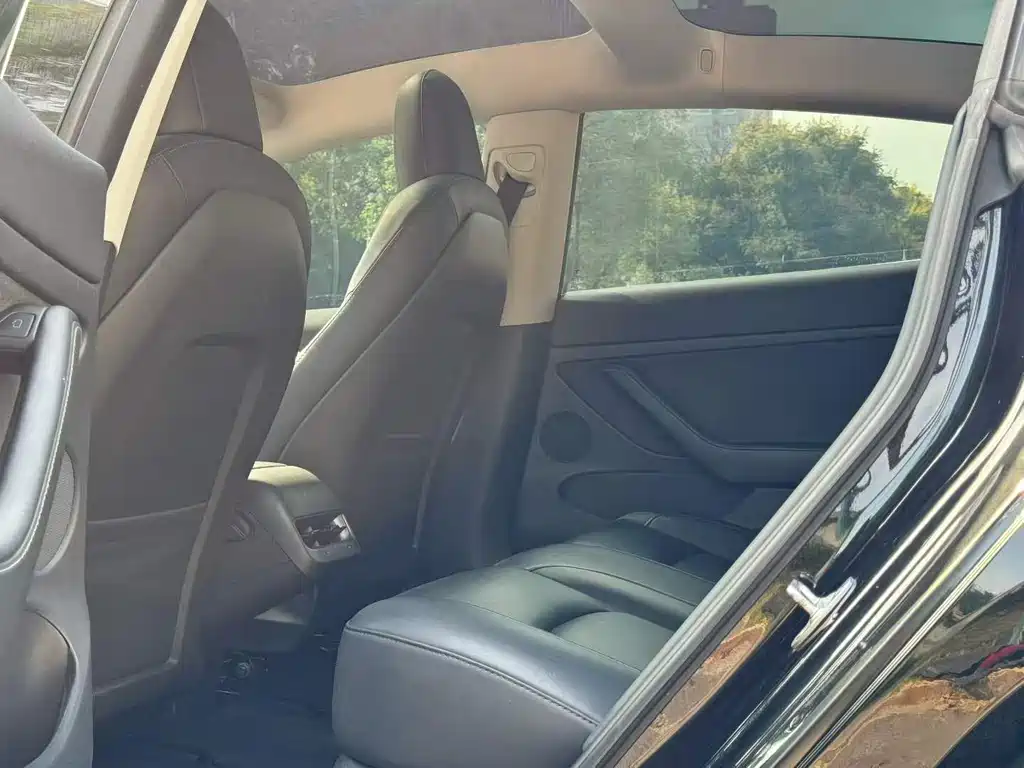 Tesla Model 3 — миниатюра 6