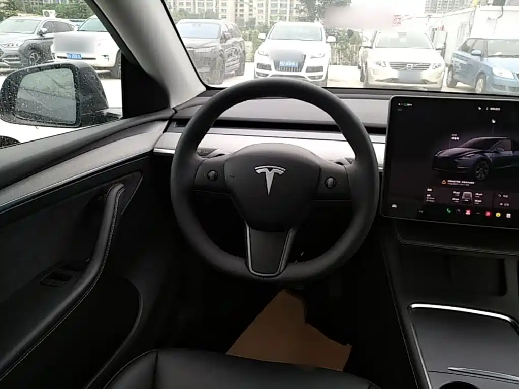 Tesla Model Y — миниатюра 11