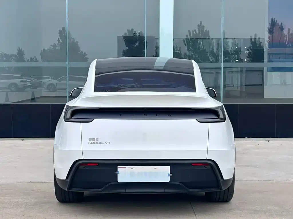 Tesla Model Y — миниатюра 7