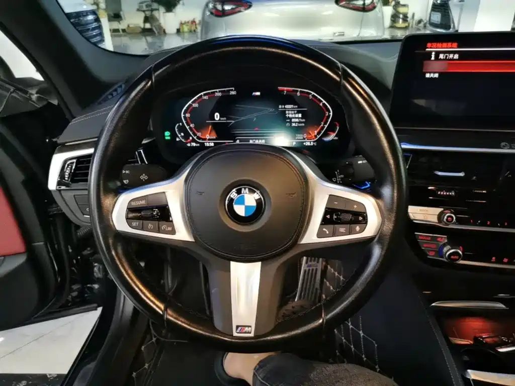 BMW 5 Series — миниатюра 11