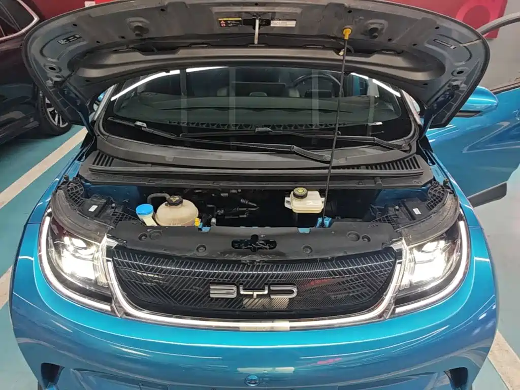 BYD Dolphin — миниатюра 20