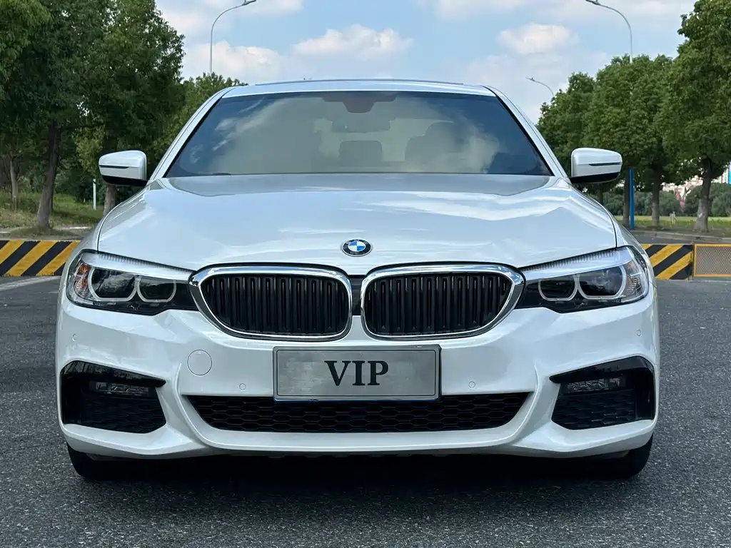 BMW 5 Series — миниатюра 2