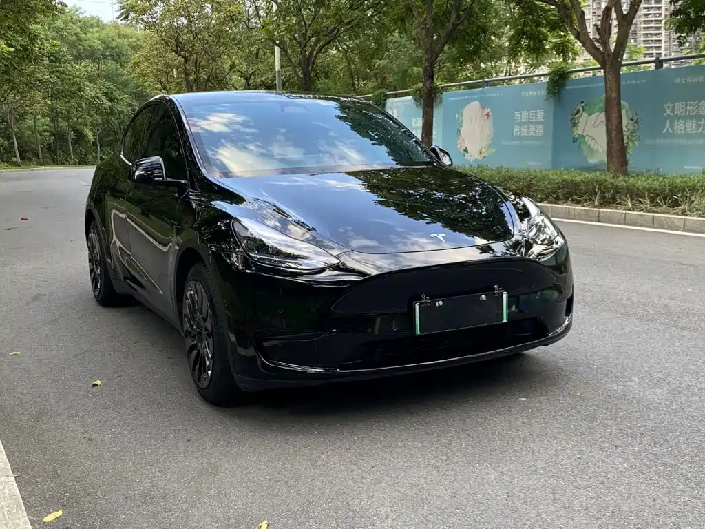 Tesla Model Y — фотографии объявления, Фото 6