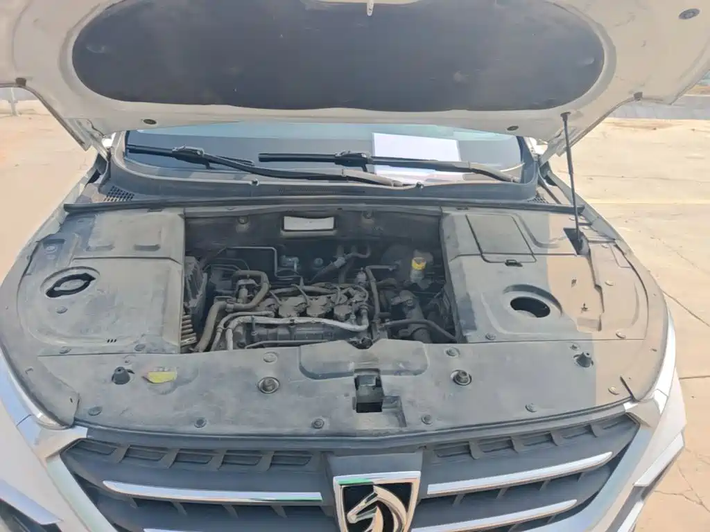 Baojun 530 — миниатюра 20