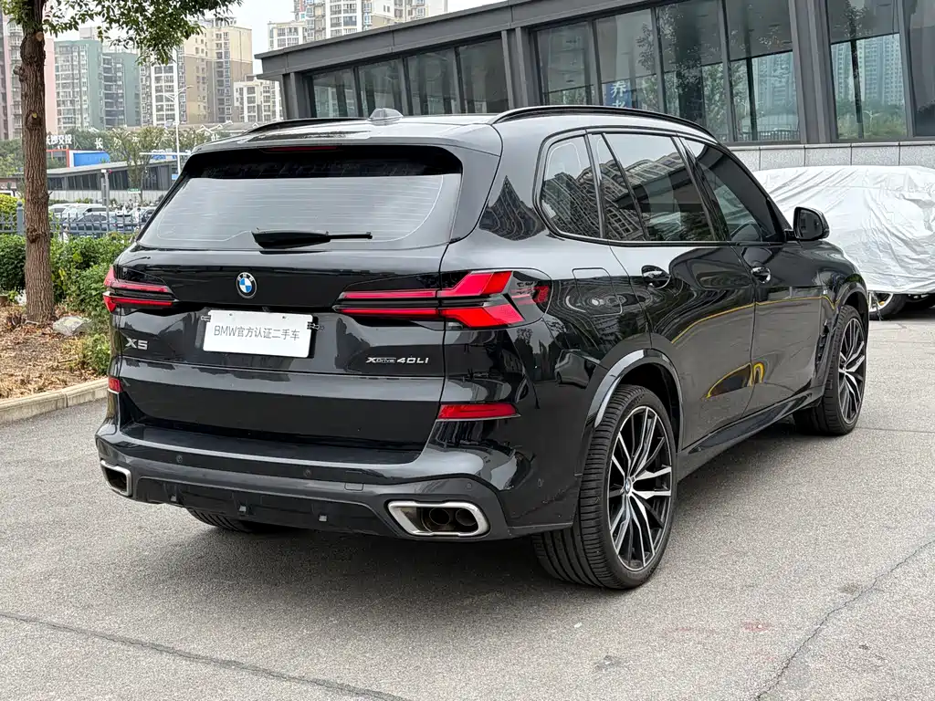 BMW X5 — миниатюра 8